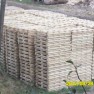 bracacore